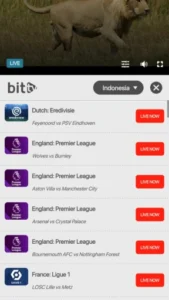 BitTV 2