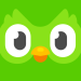 duolingo-language-lessons.png